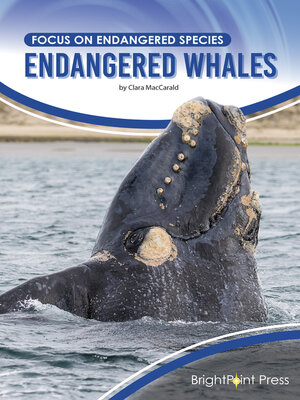 cover image of Endangered Whales